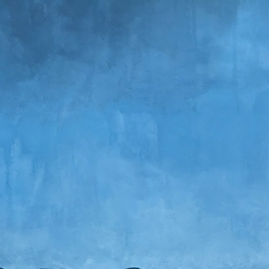 Canadian Blue Plaster