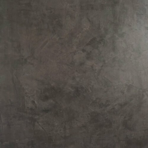 Gray Polished Plaster