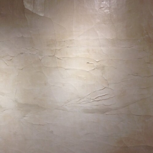 Cracked Plaster