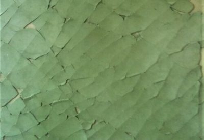 Cracked Green