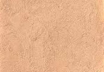 Sand+Dune