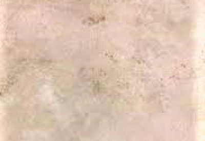 Timid+Taupe